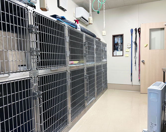 犬入院室