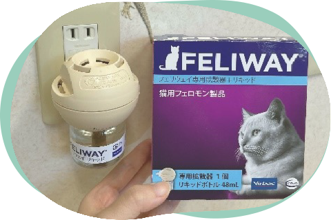 ネコちゃん専用待合室