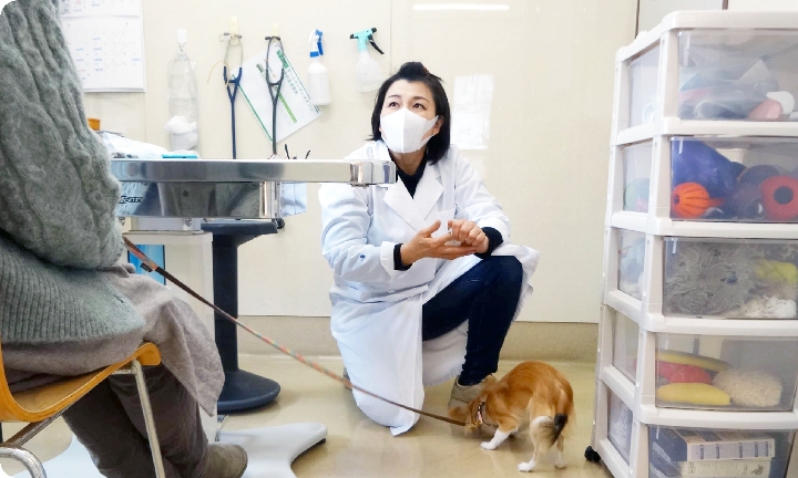 獣医師 森　愛吏