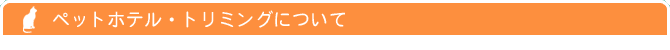 ybgzeEg~Oɂ